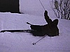 Hiver - ski