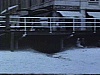 Atlantic City - Boardwalk