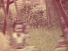 Enfants sur balançoire de bois à deux 