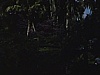 Floride - Cypress Gardens