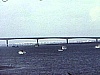 Pont