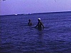 Floride - Plage, baignade