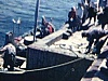 À propos de la pêche