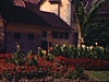 Fleurs, jardin public - Annecy