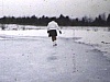 Patinoire dans un champ