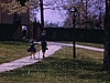 Vieilles maisons, église, village - Williamsburg