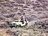 Jeep dans les dunes