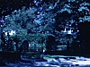 «House of David»; camp de vacances juif (nord de New York)