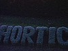 «36 School of Horticulture 63» - Niagara