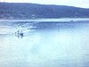 Bords du Saint-Maurice - Canot 
