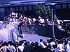 Spectacle de phoques