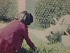 Pilou enfant nourrit un mouton