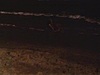 Floride; enfants au bord de la mer; plage vide; mouettes et avion dans le ciel; palmiers; parc