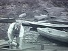 Un homme vide une chaloupe (chaloupes amarrées au bord du lac)
