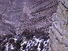 Grand Canyon - autobus vert Grand Canyon