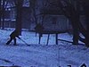 Tempête de neige, homme qui pellete