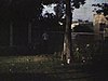 Monsieur passe le rateau sur son terrain; madame étend le linge sur la corde
