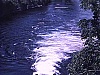 Drave près d'Ottawa; on voit les billots qui passent dans un long corridor construit pour diriger l'eau vers la rivière derrière le parlement