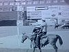 Rodéo; boeufs et chevaux dans l'arène (publicités québécoises)