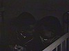 Deux enfants assis dans un petit lit s'embrassent, jouent avec une marionnette et font leur prière avec la nurse, puis ils se couchent - nounou