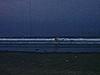 Plage; bord de mer; enfants courent vers les vagues