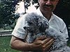 Papa avec un caniche dans les bras (chien)