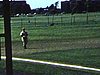 Partie de baseball organisée