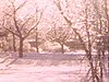 Arbres enneigés (verglas); petite fille en jupe sur la galerie (neige)