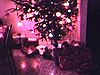 Sapin de Noël