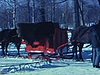 Hiver; des traîneaux tirés par des chevaux; site de jeux en hiver