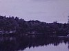 Vues prises en bateau sur une rivière assez sauvage
