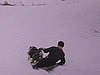 Un adolescent glisse dans la neige traîné par le chien (beau plan)