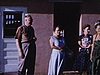 On pose devant le motel en famille (Floride); Jungle Cruise (petit bateau); zoo (buffle, dromadaire (beau plan), chimpanzé, paon)