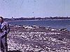 Jetée avec chaloupes et pêcheurs au bord du fleuve, berges du Saint-Laurent (beaux plans des environs de Montréal)