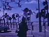Floride - homme qui nourrit des mouettes