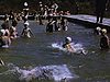 Piscine publique municipale, plusieurs personnes se baignent (famille, enfants, adultes) (années 50)