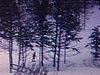 Centre de ski Bromont - beaucoup de monde au chalet