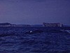 Gaspésie - rivage pris du bateau