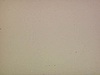 (sonore) (commentaires souvent amusants et pertinents) plaque automobile 1977