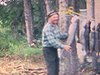 (sonore) (commentaires) pêche et prises de poissons - ils montrent leurs prises de la journée - très nombreux poissons
