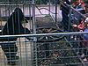 Zoo de St-Félicien - enfants nourrissant un ours, un rhinocéros