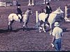 Leçon d'équitation, cavaliers exécutent quelques sauts de barrières avec leur cheval, les jeunes élèves écoutent leur instructeur, appuyés sur la clôture