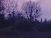 Paysages de France, dans la Loire. Puis vue de Vichy, la gare, la cathédrale et surtout les installation d'eaux (robinets et sources, etc.)