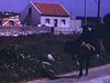 Portugal: autres lieux touristiques, une femme promène un cochon - une poule et ses poussins près d'un bâtiment,  puis d'autres sites historiques près de la mer