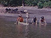 Années 60, St-Gédéon, Lac St-Jean, baignade au bord du lac. enfants s'amusent dans l'eau, mères surveillent, des filles seulement, mère jasent sur des chaises de jardin