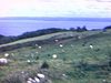 Paysages de Charlevoix (La Malbaie) au bord du fleuve, vallée et route de campagne. autos passent (années 60)