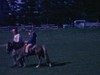 Fillettes à la ferme font des tours de poney, puis montent à cheval