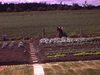 Monsieur travaille dans son potager avec une pioche, vue du terrain et de la maison mobile avec un sous-sol