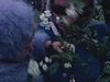 Maman et fillette sentent les pommiers en fleurs (beau plan de printemps)
