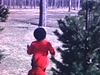 Printemps, fillette et bébé fille dans un parc - nature, bois et ruisseau - jouent ensemble. Arbres dénudés